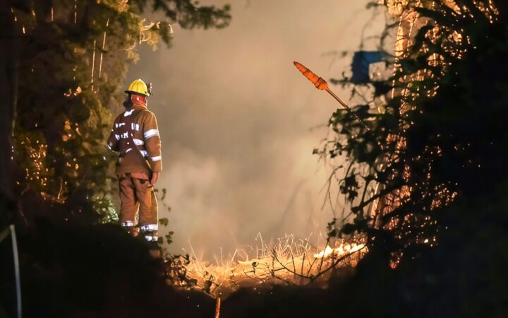 Trabajos de extinción de un incendio forestal en una zona boscosa de Derio próxima al aeropuerto.