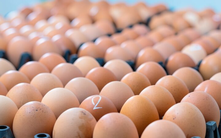 Primer plano de numerosos huevos marrones colocados en cartones de embalaje, con uno de ellos marcado con el número 2.