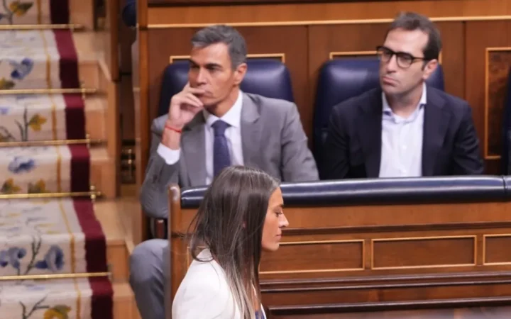 Fotografía institucional de Pedro Sánchez y otros diputados en el Congreso de los Diputados.